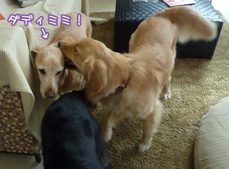 20111206.jpg