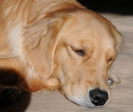 20111207.jpg