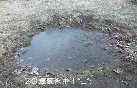 20111211-02.jpg