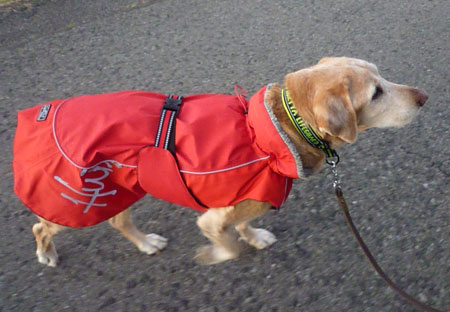 20111211.jpg