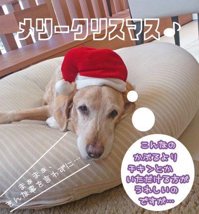 20111225.jpg
