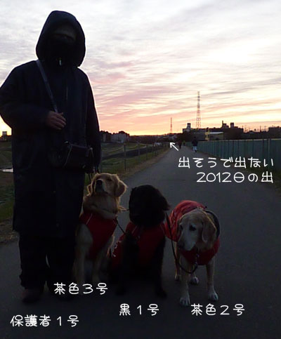 20120103.jpg
