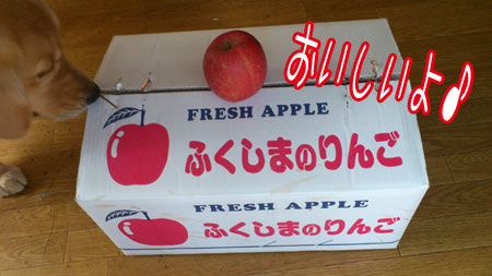 20110104.jpg