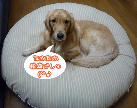 20120109.jpg