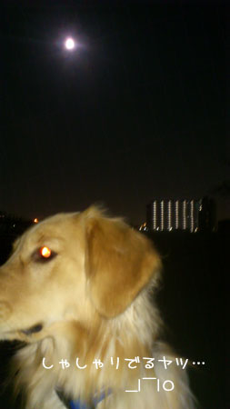 20120110-02.jpg