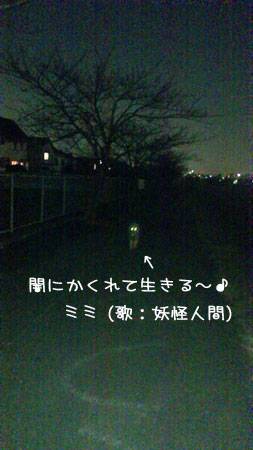 20120110-03.jpg