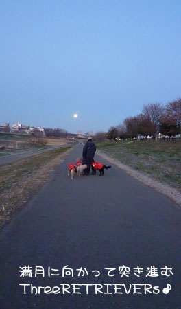 20120110-04.jpg