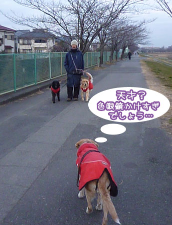 20120111-02.jpg