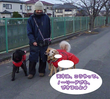 20120111-03.jpg