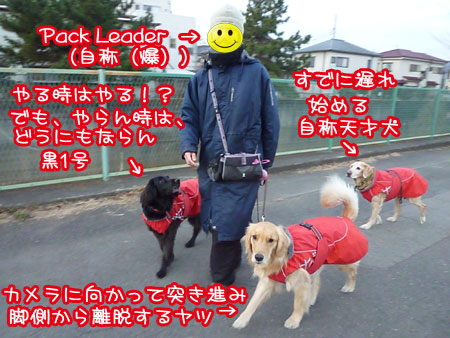 20120111-04.jpg