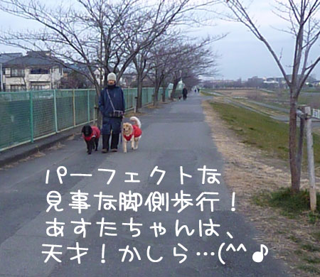 20120111.jpg