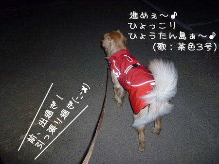 20120112.jpg