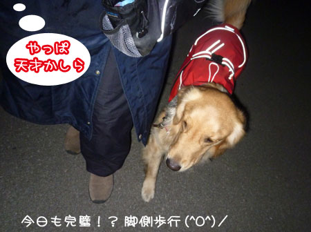 20120113.jpg
