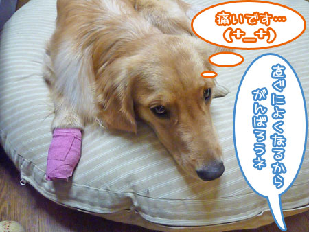 20120115.jpg
