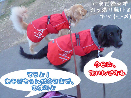 20120116-02.jpg