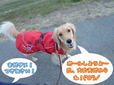 20120116-03.jpg
