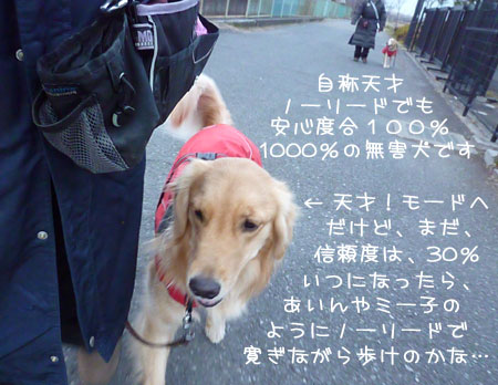 20120116-04.jpg