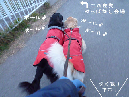 20120116.jpg