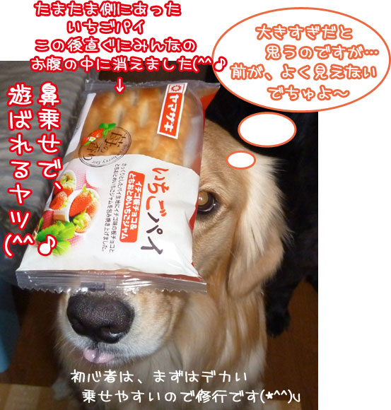 20120117.jpg