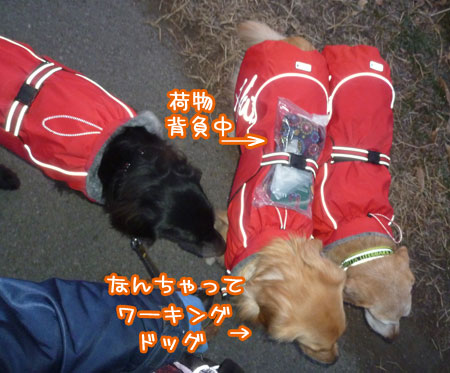 20120201.jpg