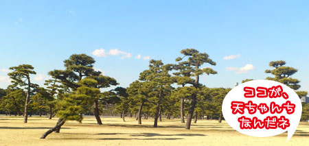 20120204-05.jpg
