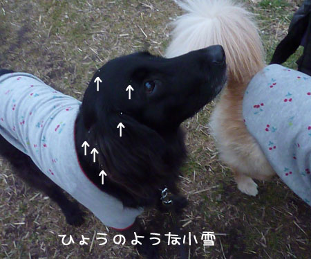20120208.jpg