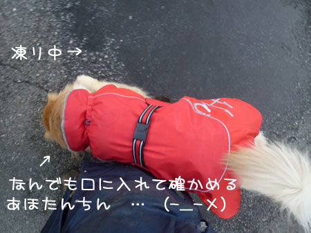 20120209.jpg