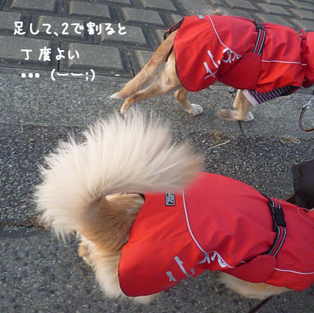 20120211-02.jpg