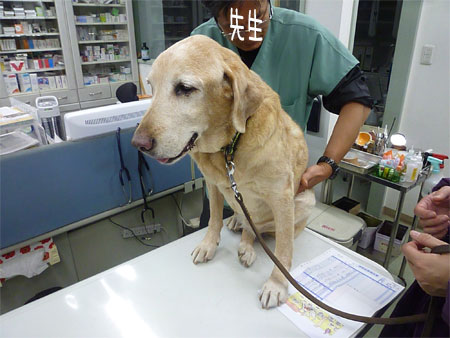 20120305.jpg