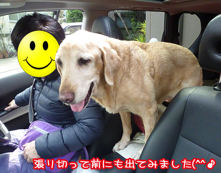 20120307-02.jpg