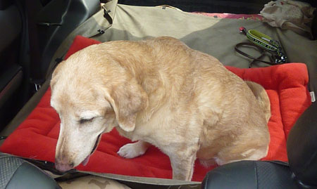 20120308.jpg