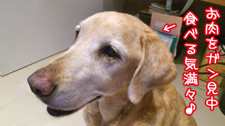 20120310.jpg