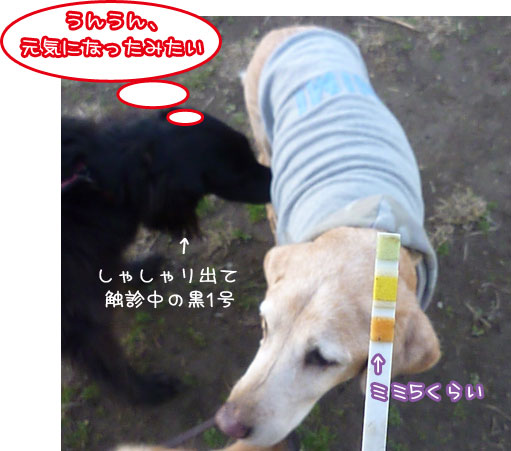 20120312-02.jpg