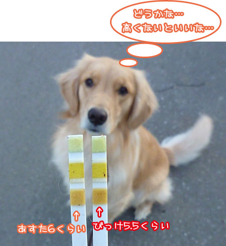 20120312.jpg