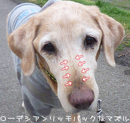 20120317-02.jpg
