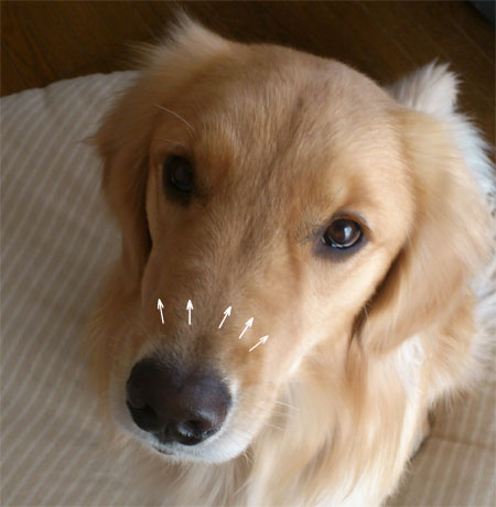20120317.jpg