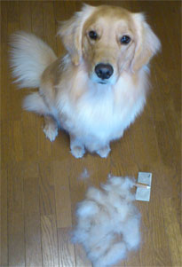 20120318.jpg