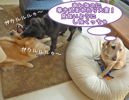 20120321-02.jpg