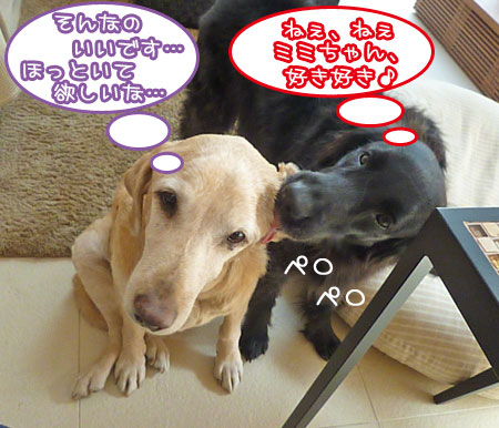 20120321.jpg