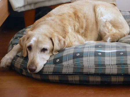 20120402.jpg