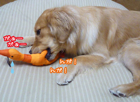 20120404.jpg