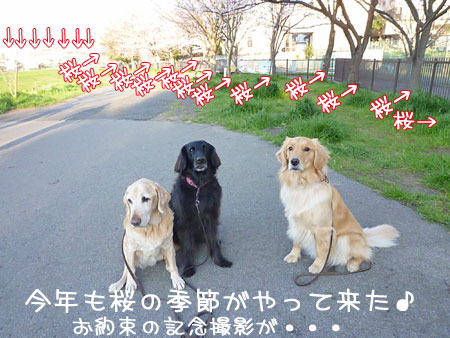 20120407.jpg