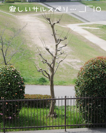 20120410-02.jpg