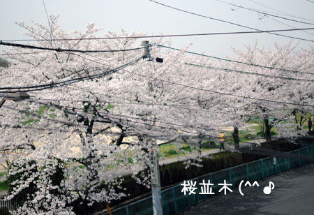 20120410.jpg