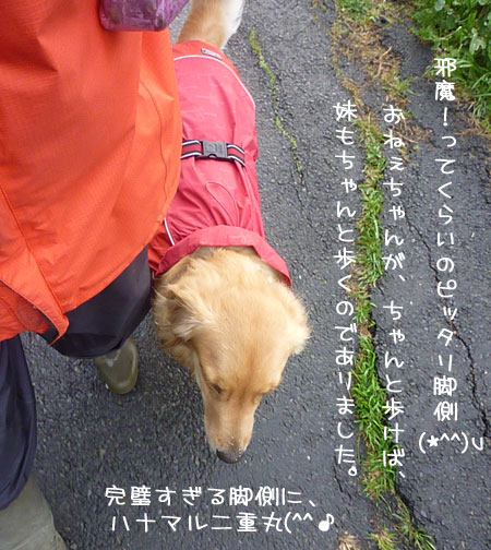 20120411-02.jpg
