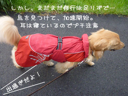 20120411-03.jpg