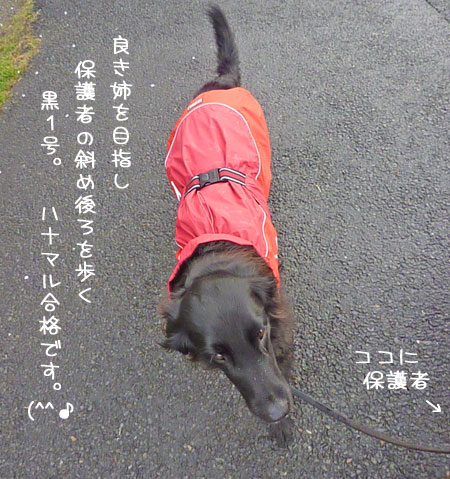20120411.jpg