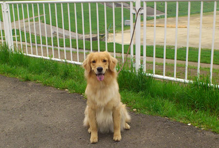20120509.jpg