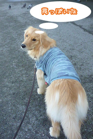 20120516-02.jpg