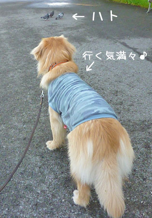 20120516.jpg